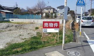 20130319_132805.jpg